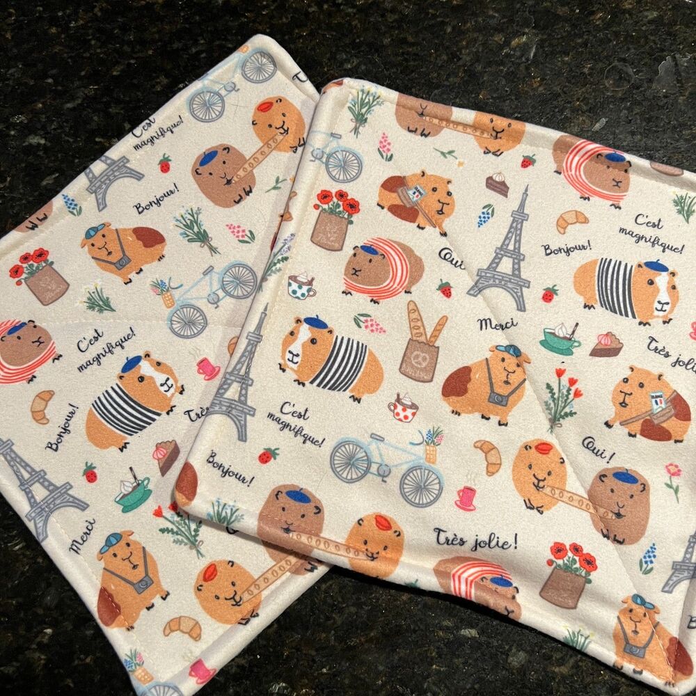 Guinea Pig Piddle Pads X2 Paris Eiffel Tower Fleece Reversible Washable 11"